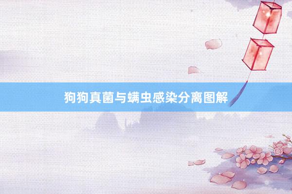 狗狗真菌与螨虫感染分离图解